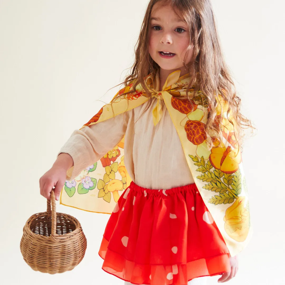Sarah's Silks Seek & Find Playsilks-Mushroom Seek & Find Playsilk