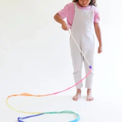 Sarah's Silks Streamers|Rainbow Party-Rainbow Streamer