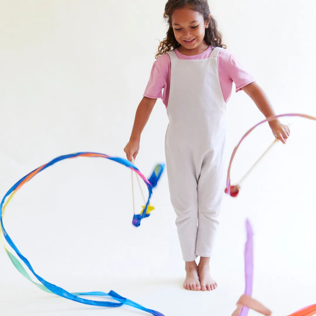 Sarah's Silks Streamers|Rainbow Party-Rainbow Streamer